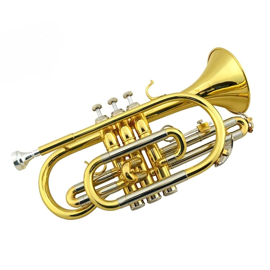 金色トランペット 3バルブ Amazon | トランペット トランペット 楽器 Bフラット